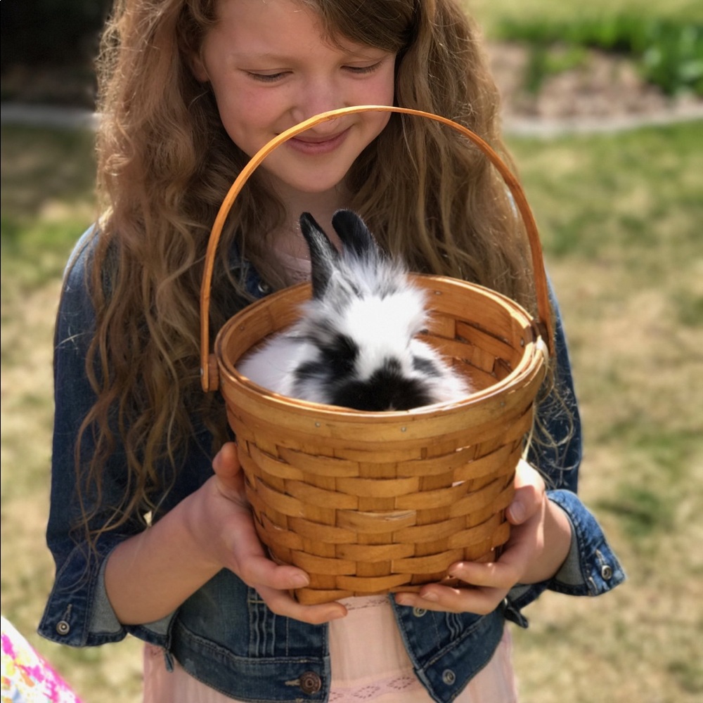 Meet your Posher, Mallory